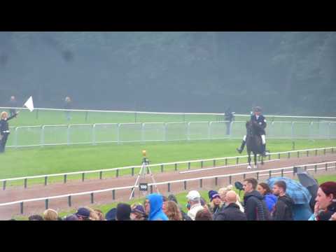 Höski Adalsteinsson - Aron vom Wotanshof