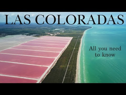 All you need to know before visiting Las Coloradas Mexico