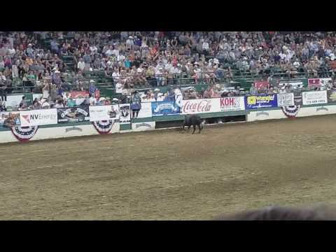 Reno Rodeo 2017, French dude jumps over charging bull!