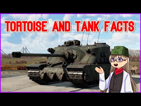 Tortoise and Tank Facts | WAR THUNDER