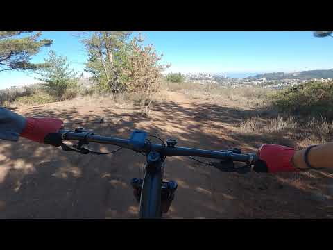 Los Perros / Reñaca / La Antena completa Gripazo