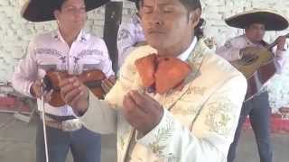 ANDO VOLANDO BAJO - mariachi monumental martin hortua