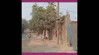 জমি বিক্রি ৫ শতাংশ আমিনবাজার, গাবতলী ঢাকা।দাম ১০লাখ টাকা শতাংশ। 01913313132,