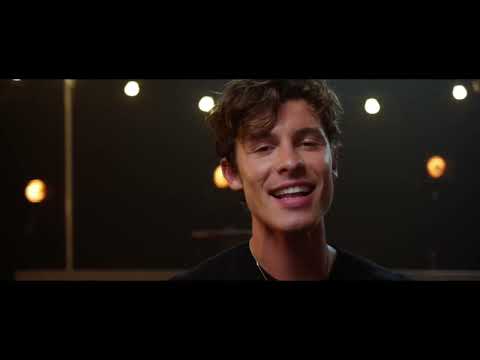 Shawn Mendes - Top Of The World