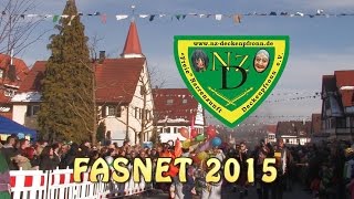 preview picture of video 'Mega-Fasnet-Umzug Deckenpfronn 2015'