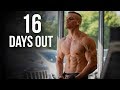 16 Days Out Till My 1st Mens Physique Competition