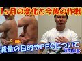 減量1ヶ月の経過報告(体重・食事・変化の比較)&ボディビルの減量やPFCバランスへの質問回答