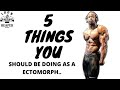 5 THINGS YOU SHOULD BE DOING AS A ECTOMORPH