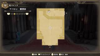 [ロマンシングサガ2リベンジオブザセブン]#10 アバロンは私が衛る！[PS5]