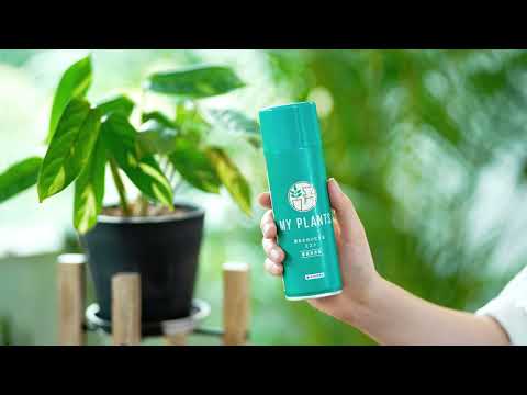 毛むくじゃらの泡草 植物