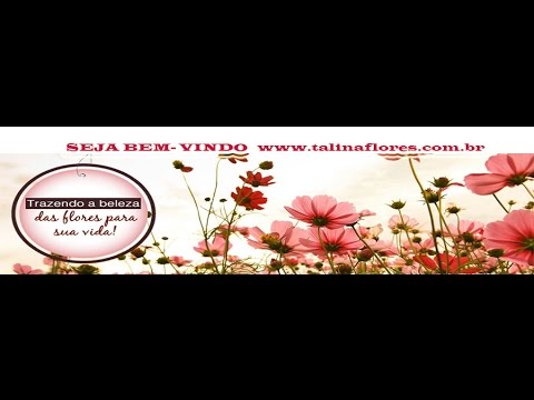 www.talinaflores.com.br