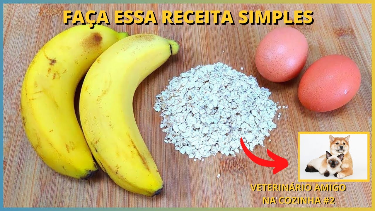 PRONTA EM 3 MINUTOS E COM 3 INGREDIENTES! RECEITA DE ALIMENTAÇÃO NATURAL PARA CACHORROS E GATOS!
