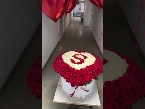 3 ноября 2024 г.