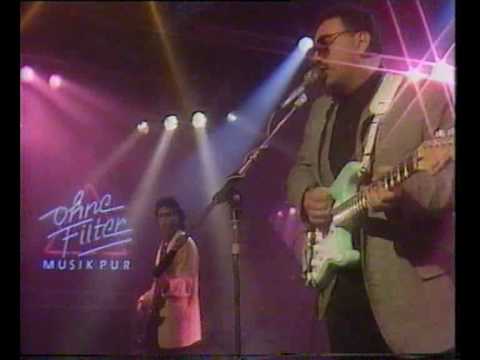 Duke Robillard - Anything it takes