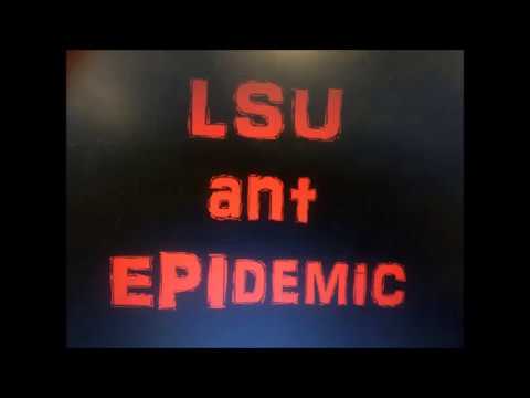 download lagu mp3 mp4 Ant Epidemic, download lagu Ant Epidemic gratis, unduh video klip Ant Epidemic