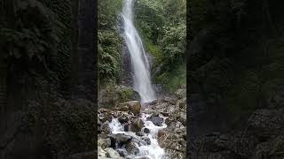Download lagu Curug Ci Gentis Karawang Jawa barat ll Shorts mp3 Download lagu Curug Ci Gentis Karawang Jawa barat ll Shorts mp3