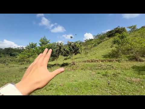 Lote 5 Parcelación SANBLASS en San Carlos Antioquia