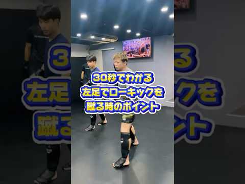 【30秒シリーズ】#左ローキック#RIZIN#ライジン#MMA#mmatechniques#キックボクシング#kickboxing#キックボクシングテクニック#kickboxingtechniques