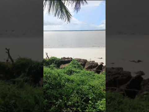 BANDA MEGA POP SHOW ___ ACOXADINHO DO RUBI