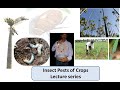 Insect Pests of Crops; Lecture 1 Types of damage caused by insects