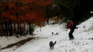 preview picture of video 'Sugarbush Stoke Exchange Market Watch - October Snow!'