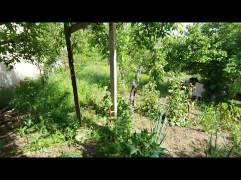 Продается Земельный участок. Сабуртало  - видео постер