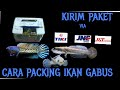 Cara Pengiriman Paket Ikan Hias