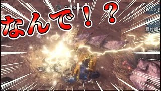 ハンターがシビレ罠にかかるなｗｗｗｗ【プレイクリップ】