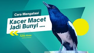 Download lagu Jenis Terapi Ampuh Atasi Kacer Macet dan Malas Bunyi mp3 Download lagu Jenis Terapi Ampuh Atasi Kacer Macet dan Malas Bunyi mp3
