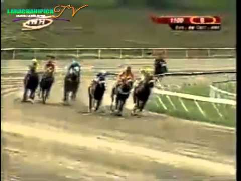 LA RINCONADA 8 CARRERA DOMINGO 24 DE AGOSTO DEL 2014