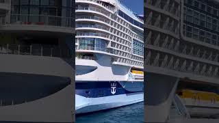 The Biggest Ship In The 🌎 🗺  Docked In Nassau #lifeisbutadream #cruiseship