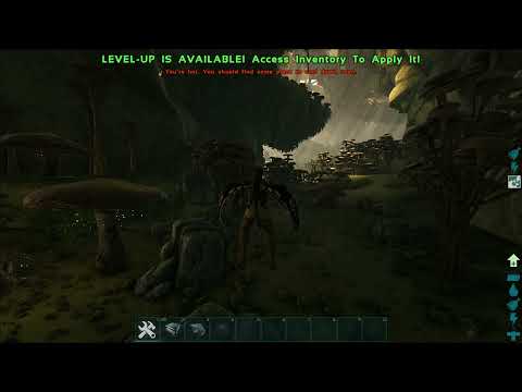 Sinomacrops Aberration