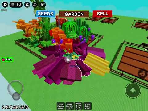 Ratemymelons Com