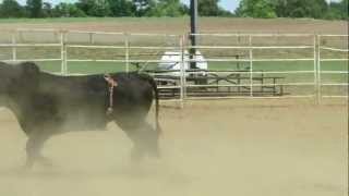 preview picture of video 'SCHSRA ~ Iva, SC Rodeo ~ Bull Riding ~ Tyler Willis'