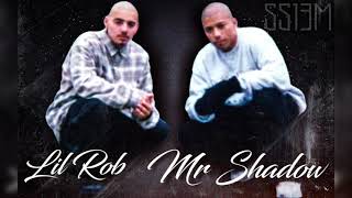 Lil Rob Ft Mr Shadow~Let The Mayhem Begin