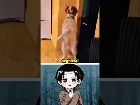 Skinwalkeri deghizati in animale pt1 😱