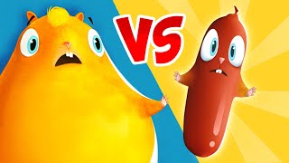 Who Is The REAL HAMSTER? | KIDS | Cartoon | Hamster | Dog | Cat | Funny Animated