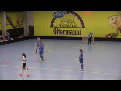 HFC17 Blue Fox- TFC F03