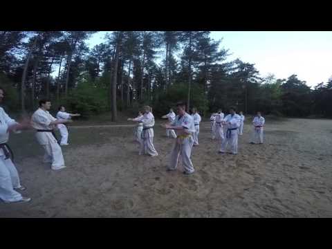 ICHIDAI Kyokushin Karate spring camp 2015