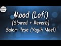 Mood (Lofi) - ft. Salem ilese (Yagih Mael) (Slowed + Reverb) (Lyrics Video)