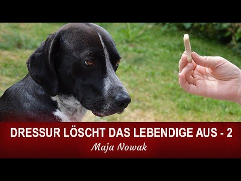 Part 2 - DRESSAGE ERASES THE LIVING - The live experiment by Maja Nowak