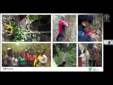 Bienvenidos al curso facilitado en línea sobre el inventario forestal nacional