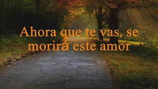 Ahora Que Te Vas Lyrics English Translation