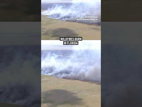 Video Thumbnail: Wildfires burn in Florida