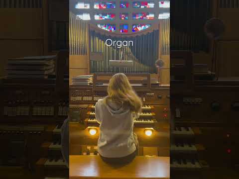 Which one do you like the most? #harpsichord #piano #organ