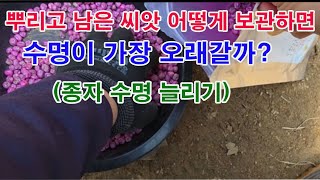 종자 보관법. 뿌리고 남은 씨앗 어떻게 보관하면 수명이 가장 오래갈까? 종자 수명 늘리기  (씨앗 보관법, …