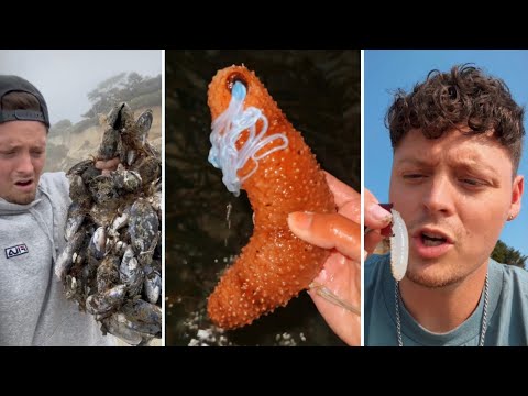 Cute Satisfying Animals Compilation | Part 9