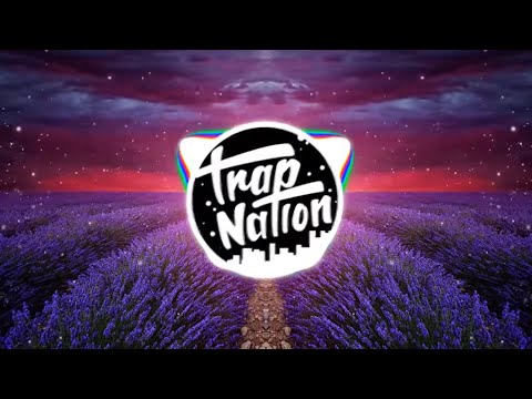 Anikdote - Life Is Over