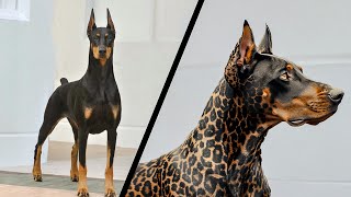 10 Special Under Type Dog Breeds