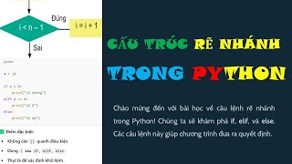 Câu lệnh rẽ nhánh (if else match case) trong Python